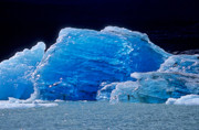 10 - Iceberg sur le lago argentino